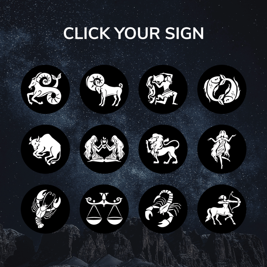 12 zodiac signs 