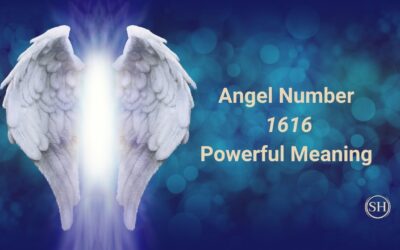Angel Number 1616 Meaning: A Powerful Angel Number for Strength, Longevity, and Success.