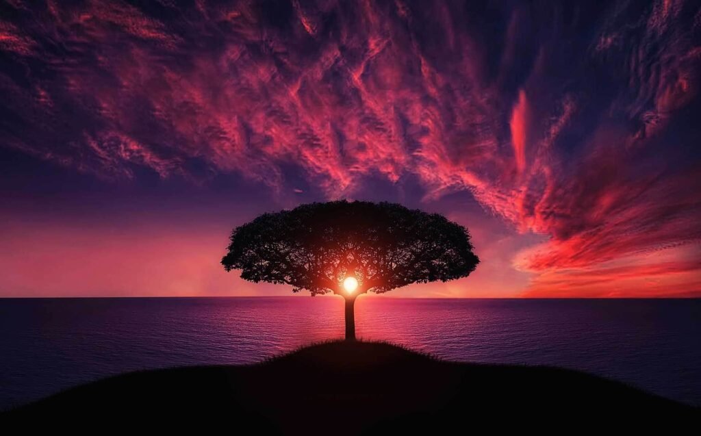 The Meaning Of The Tree Of Life: A Powerful Symbol